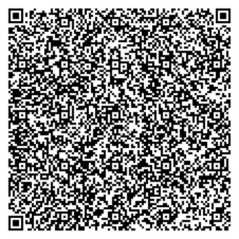 kens blog tdqsfcoi qr code poetry