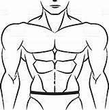 Drawing Abdominal Muscle Abdomen Drawings Getdrawings sketch template