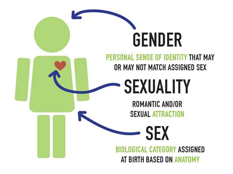 important gender and sexuality terms defined outspoken