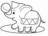 Coloring Circus Pages Elephant Cute Kids Clown Hat Beautiful Colouring Easy Pointing Wearing Ball Drawing Color Getdrawings Sheets Getcolorings Simple sketch template