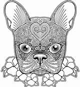 Coloring Pages Boston Bulldog Terrier Pug Dog French Printable Adults Color Adult Zentangle Print Mandala Animal Skull Colouring Getcolorings Newfoundland sketch template