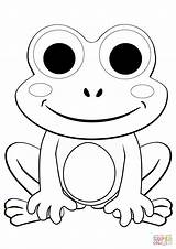 Rana Frosch Rane Frogs Getcolorings Solitaria Stilizzate Simpatiche Ranas Palaute Malvorlage Stampare Incantevole Supercoloring Ausmalbild sketch template