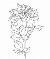 Coloring Pages Botanical Floral Print sketch template