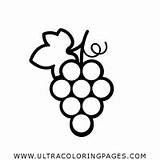 Uva Colorear Disegno Uvas Frutas Ultra Grape Libro Ultracoloringpages Impresión sketch template