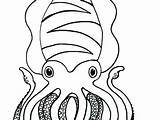 Squid Coloring Giant Pages Getcolorings Printable Color Getdrawings sketch template