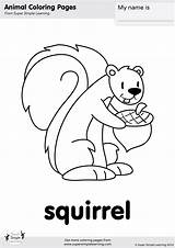 Coloring Squirrel Simple Super sketch template