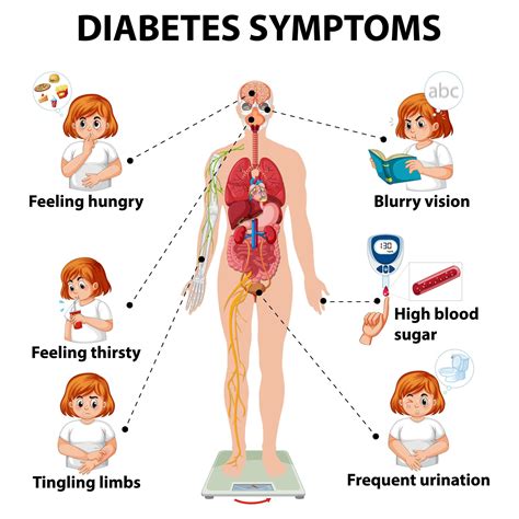 diabetes symptoms infographic  vector art  vecteezy