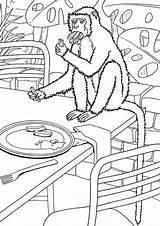 Monkey Coloring Pages Tulamama Eating sketch template