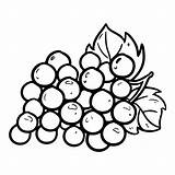 Uva Grapes Anggur Mewarnai Buah Página Bestcoloringpagesforkids sketch template