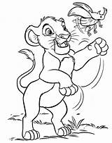 Coloriage Roi Simba Justcolor Fils Reine Sarabi Coloriages Nggallery Scarabée Enfant sketch template
