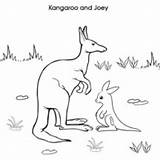Kangaroo Coloring Baby Joey Netart sketch template