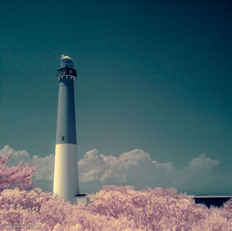 beautiful examples  infrared photography  photographs