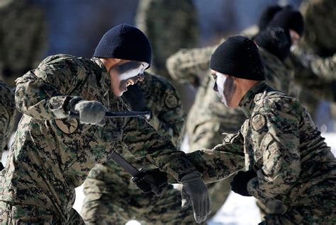 south korean special forces train  snow business insider