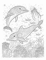 Coloring Pages Ocean Adults Adult Dolphin Underwater Print Mandala Color Colouring Book Printable Sheets Oceana Life Books Animal Sea Animals sketch template