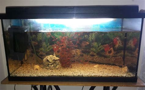 repair  leaking glass aquarium aquariumnexus