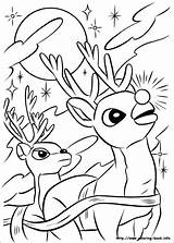 Reindeer Coloring Pages Getcolorings Printable sketch template