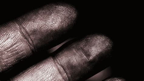 red handed can we make fingerprints better at catching criminals