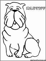 Coloring Mastiff Pages Color Fun Kids Getcolorings sketch template