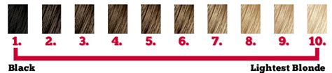 hair color shades  selection guide