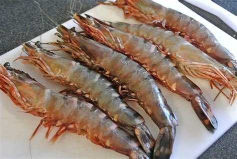 Black Tiger Shrimps Suppliers Asian Tiger Shrimps Giant
