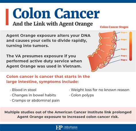 how agent orange causes colon cancer hill and ponton p a