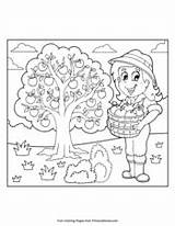 Picking Primarygames Apples Orchard sketch template
