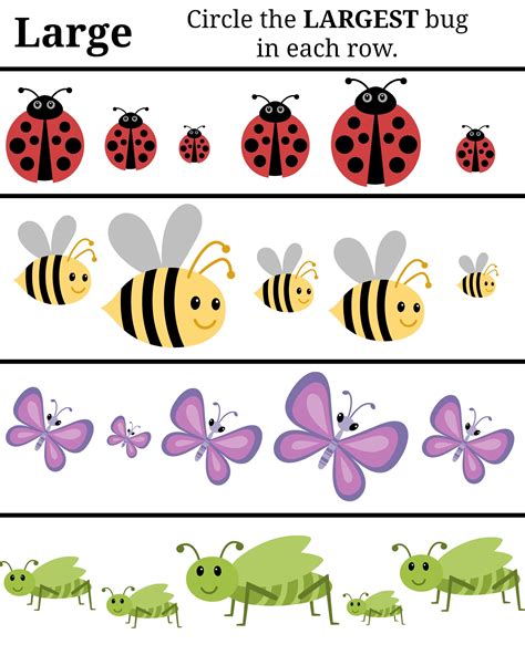 bug worksheets  preschool printable worksheet template