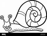 Mollusk Snail Molusco sketch template