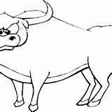Coloring Pages Animals Buffalo sketch template