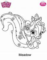 Mascotas Colorear Dibujalandia Princesa sketch template