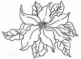 Poinsettia Coloring Pages Outline Drawing Print Printable Paintingvalley Cool2bkids Drawings Sheet Kids sketch template
