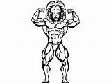 Drawing Bodybuilder Bodybuilding Lion Paintingvalley sketch template
