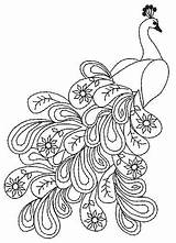 Peacock Outline Paisley Peacocks Coloring Pages Designs Sketch Mylar Embroidery Pattern Pavo Real Template Patterns Adult Adults Drawings Drawing Line sketch template