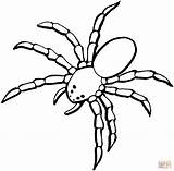 Spider Coloring Pages Color Printable Gif Tablets Compatible Ipad Android Version Click sketch template