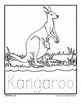 Kangaroo Coloring Pages Zoo Animal Kids Color Baby Australia Animals Babies Print Australian Worksheets Preschool Kangaroos Craft Letter Mother Too sketch template