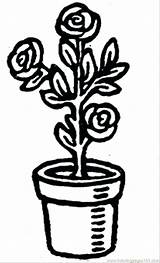 Pot Clipart Flower Coloring Plant Clay Pages Flowers Roses Potted Clipartmag Drawing Printable Library Getcolorings Popular sketch template
