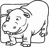 Coloring Hippo Pages Results Hippopotamus Animal sketch template