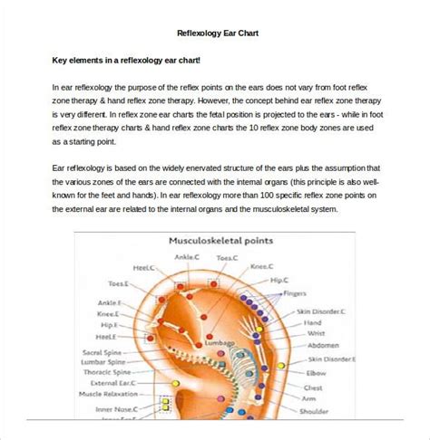 15 Word Reflexology Chart Templates Free Download Free And Premium