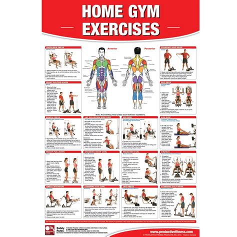 Productive Fitness Poster Series Home Gym Exercises Laminate Or Non