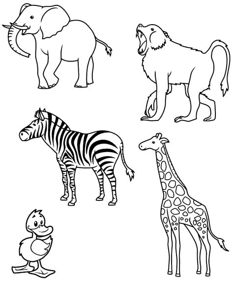 os animais desenhos  colorir colorir desenhos  colorir cloobx