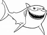 Shark Drawing Nemo Finding Coloring Pages Head Bruce Printable Disney Paintingvalley Choose Board Sheets Colouring sketch template