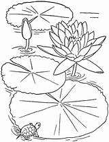 Lotus Coloring Flower Drawing Pages Lily Pad Flowers Colouring Color Sheets Kids Printable Színez Sketch Water Kifestkönyv Getdrawings Fleur Mandala sketch template