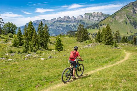 bike touren  der schweiz  touren fuer jeden geschmack