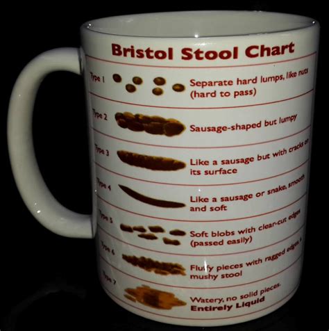 bristol stool chart mug funny gift  medical student nurse doctor carer ebay