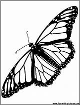 Butterfly Coloring Page1 Monarch Pages Fun sketch template