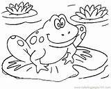 Coloring Pages Amphibian Getdrawings sketch template