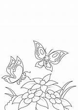 Farfalle Mariposas Kleurplaat Lente Vlinders Bij Stampare sketch template