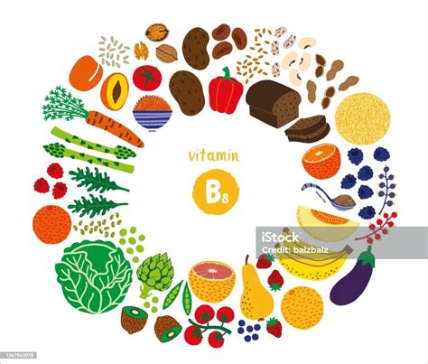 ilustración de ilustración vectorial de fuentes de vitamina b8 y más