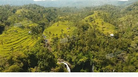 Terrace Rice Fields Bali Indonesia Stock Video Footage 11120801