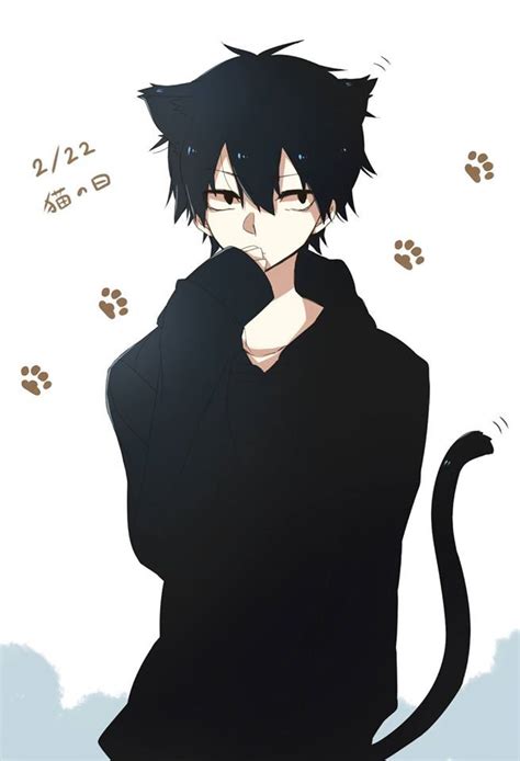 fact shintaro   neko anime neko anime cat boy boy cat anime kawaii anime